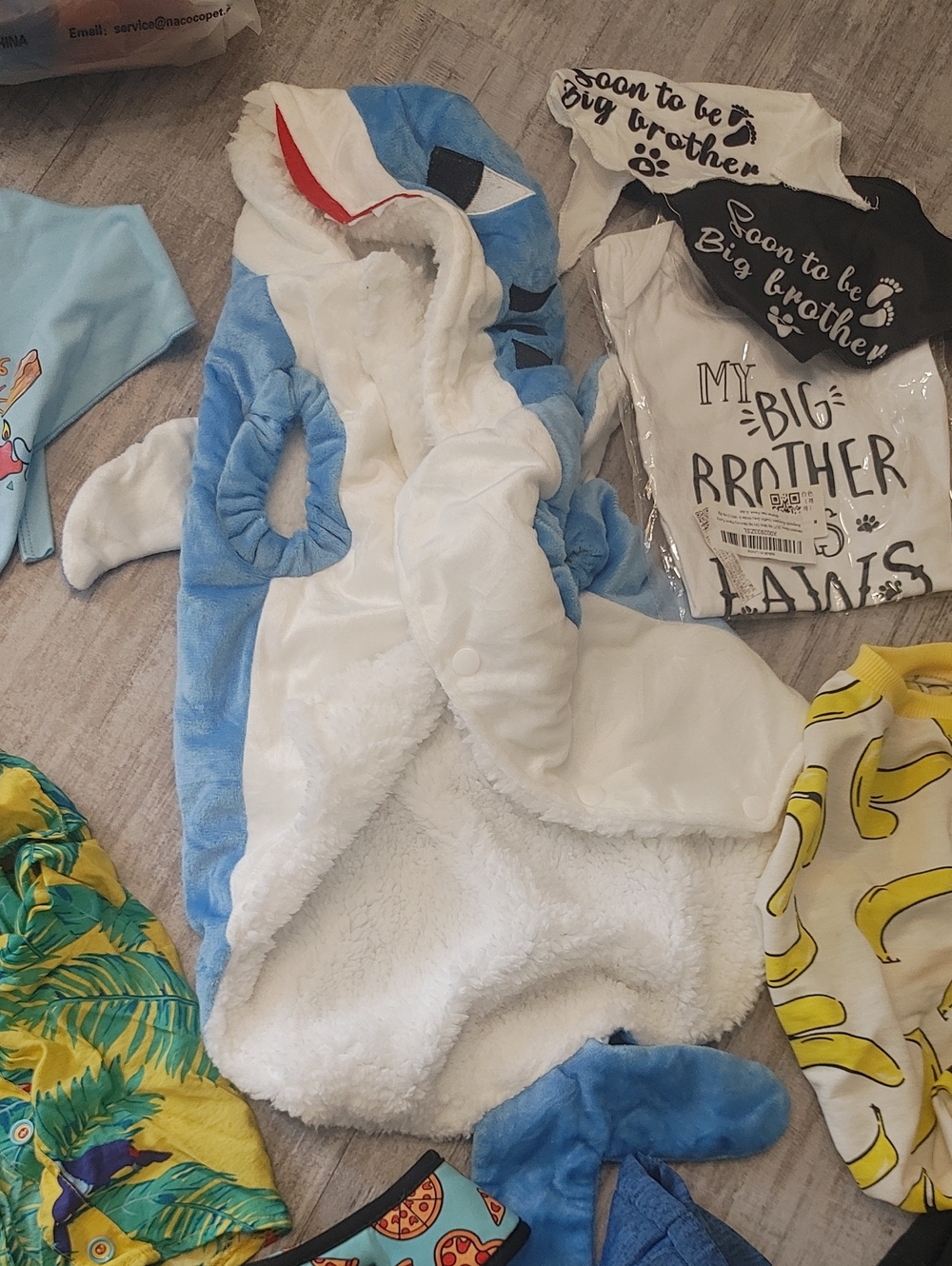 HUGE FRENCHIE LOT L/XL French Bulldog Clothes & Accessories - Picture 10 of 10